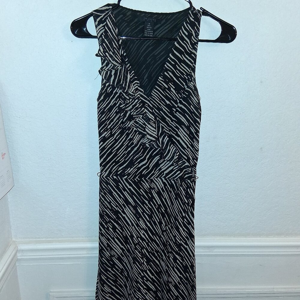 The Limited Silk Animal Print Dress Size 6